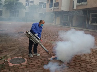 里水虫害防治所为什么要定期虫害防治、杀虫灭鼠