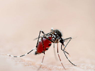 南海杀虫灭蚊中心常用的灭蚊子的办法有哪些