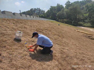 南海白蚁防治所灭治堤坝白蚁：守护水利工程
