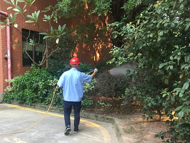 盐步除四害公司消灭绿化带“四害” ，打造良好环境