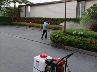 桂城专业杀虫中心基孔肯雅热可以怎样预防